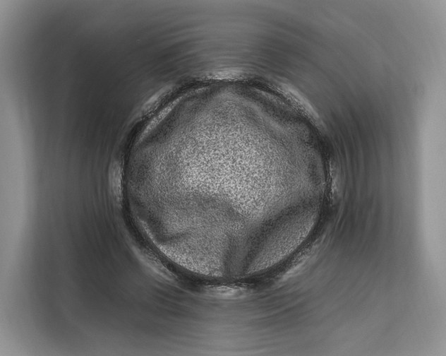 X0000112210542200908281502