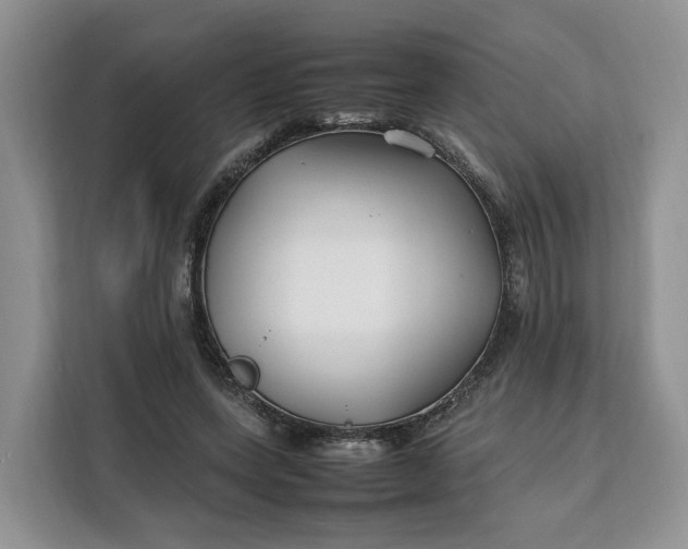 X0000112210543200908281502