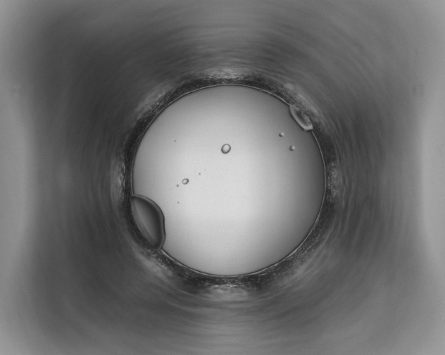 X0000112210544200908281502