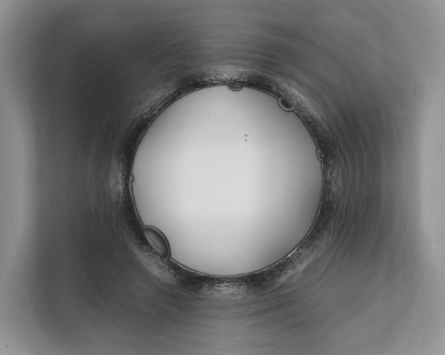 X0000112210546200908281502