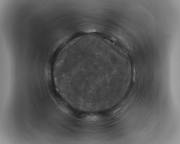 X0000112210547200908281502