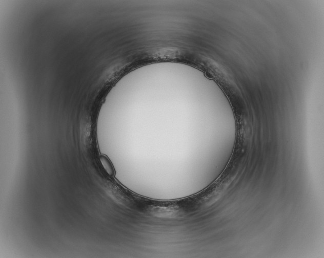 X0000112210548200908281502