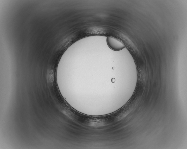 X0000112210549200908281502