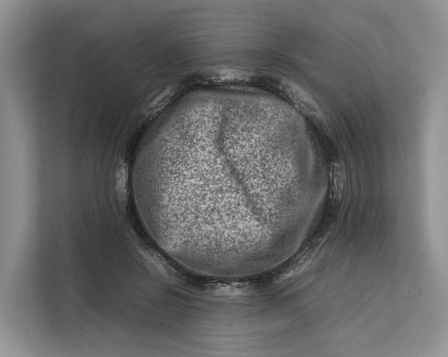 X0000112210550200908281502