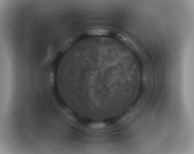 X0000112210551200908281502