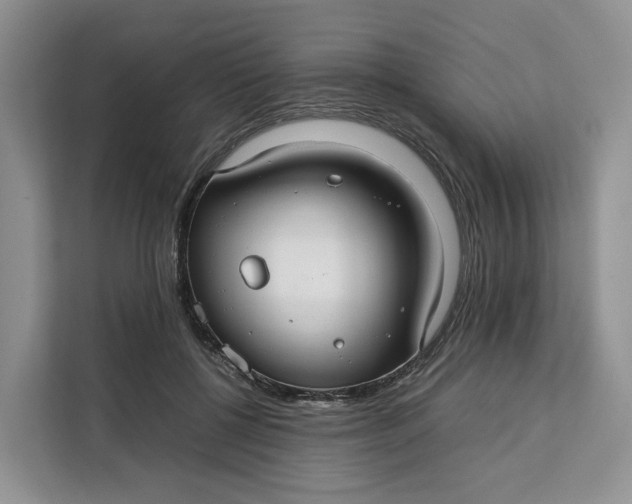 X0000112210552200908281502