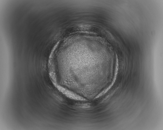 X0000112210553200908281502