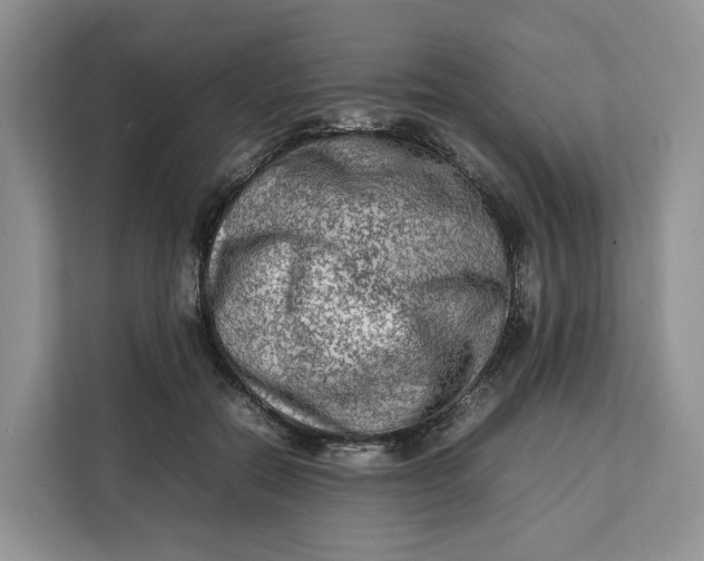 X0000112210554200908281502