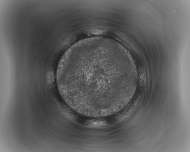 X0000112210555200908281502