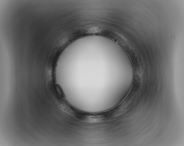 X0000112210556200908281502