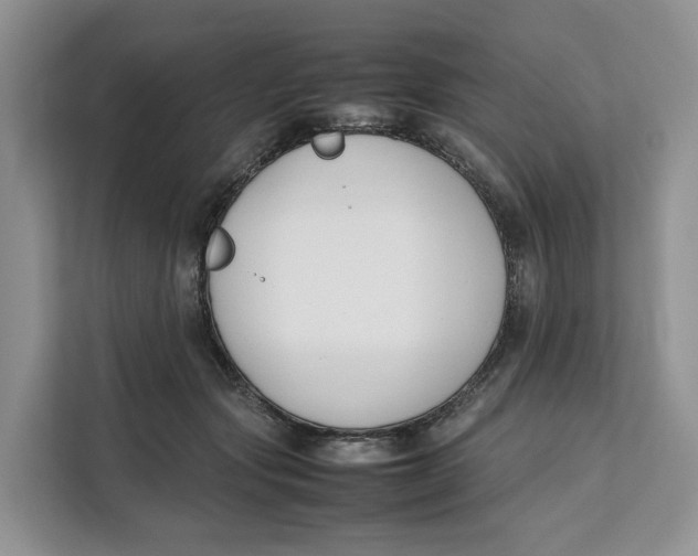 X0000112210557200908281502