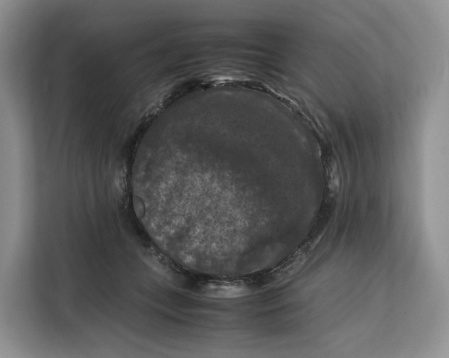 X0000112210559200908281502