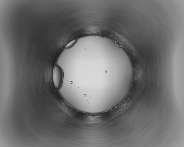 X0000112210560200908281502