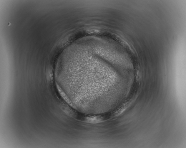X0000112210561200908281502