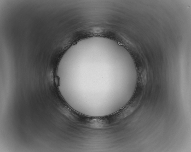 X0000112210562200908281502