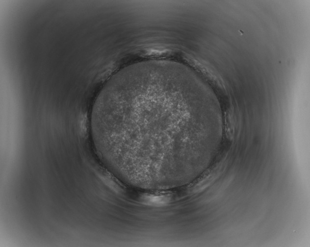 X0000112210563200908281502