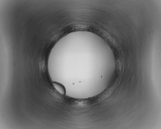 X0000112210564200908281502
