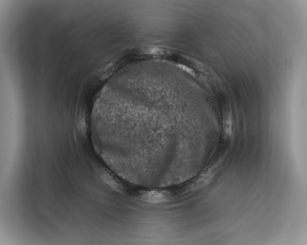 X0000112210566200908281502
