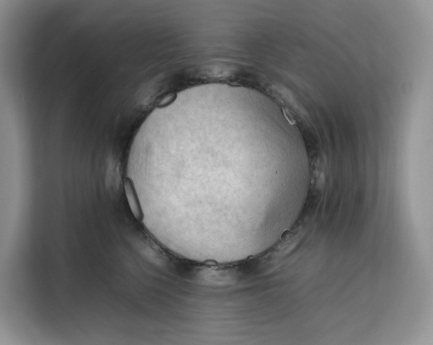 X0000112210568200908281502
