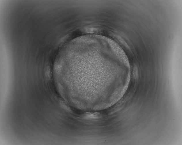 X0000112210569200908281502