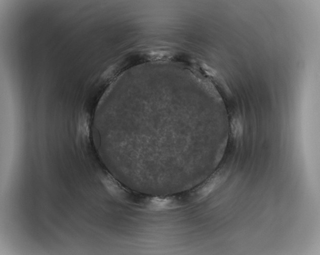 X0000112210570200908281502