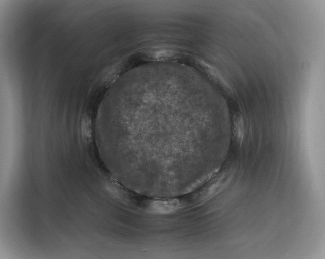 X0000112210571200908281502