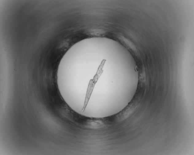 X0000112210572200908281502
