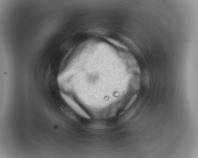 X0000112210573200908281502