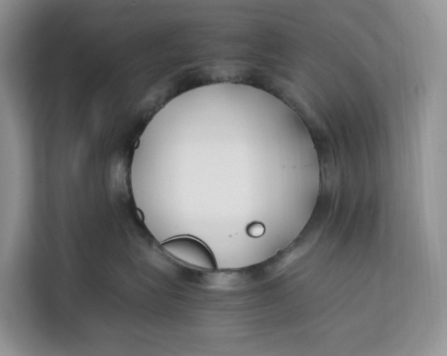 X0000112210575200908281502