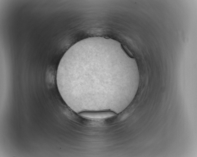 X0000112210576200908281502