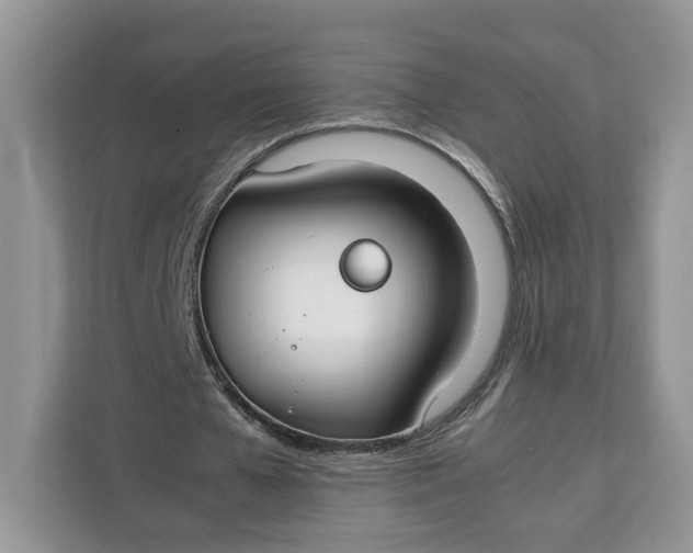X0000112210577200908281501