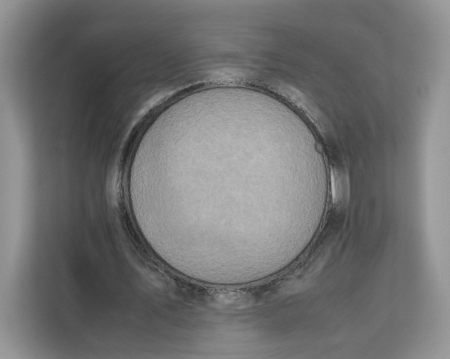 X0000112210579200908281501