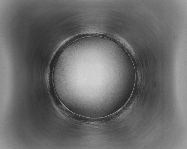 X0000112210580200908281501