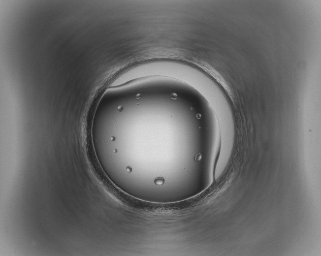 X0000112210581200908281501