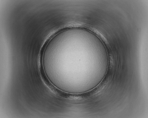 X0000112210582200908281501