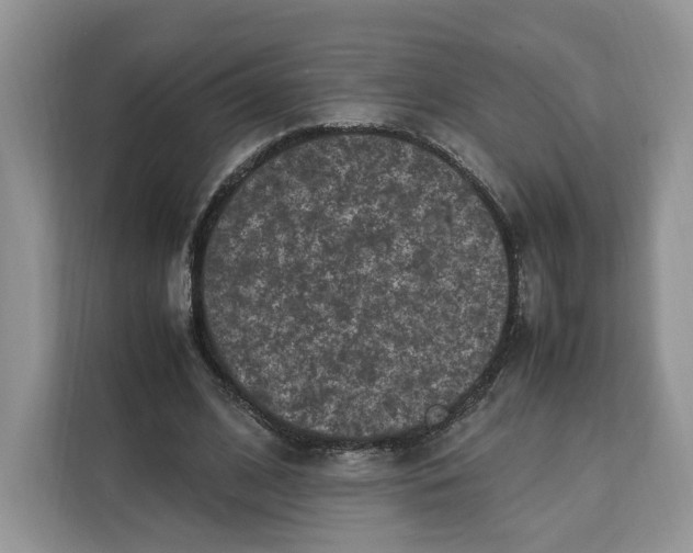 X0000112210584200908281501