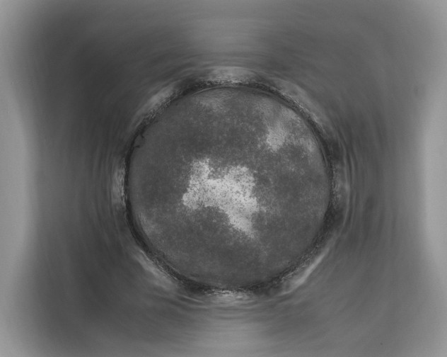 X0000112210585200908281501