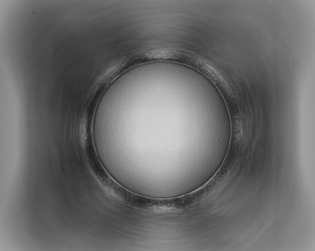 X0000112210586200908281501