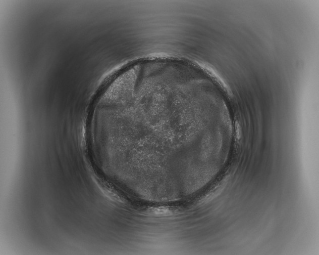 X0000112210588200908281501