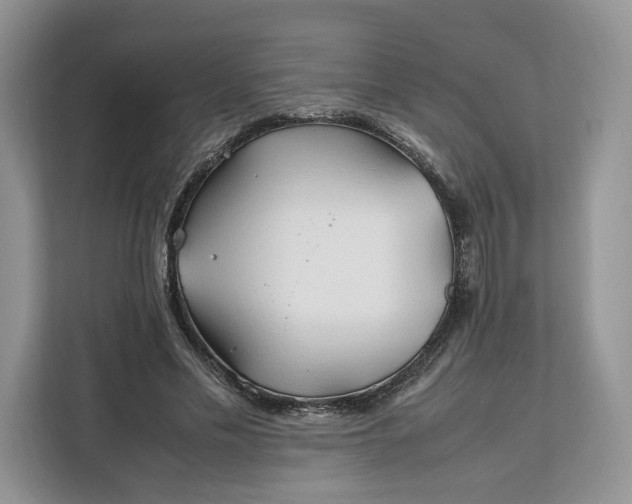 X0000112210589200908281501