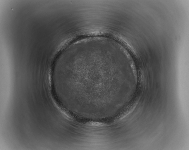 X0000112210590200908281501