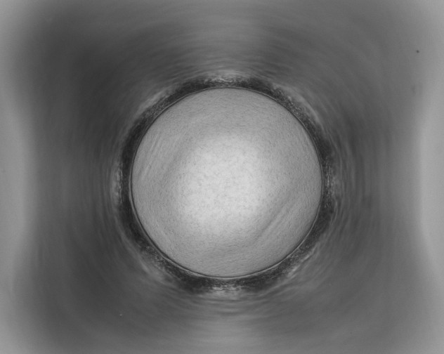 X0000112210591200908281501