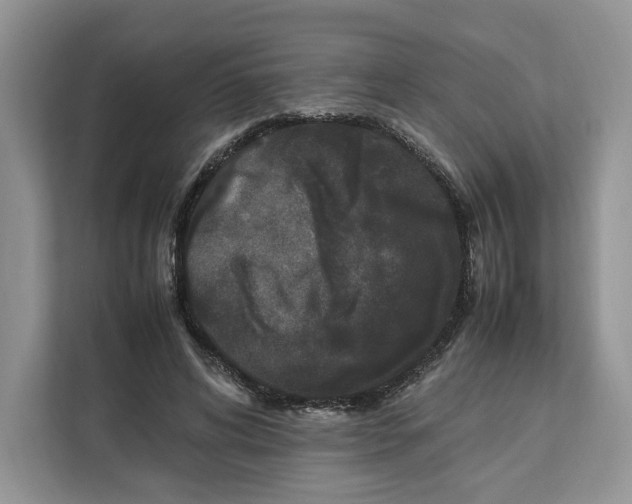 X0000112210592200908281501