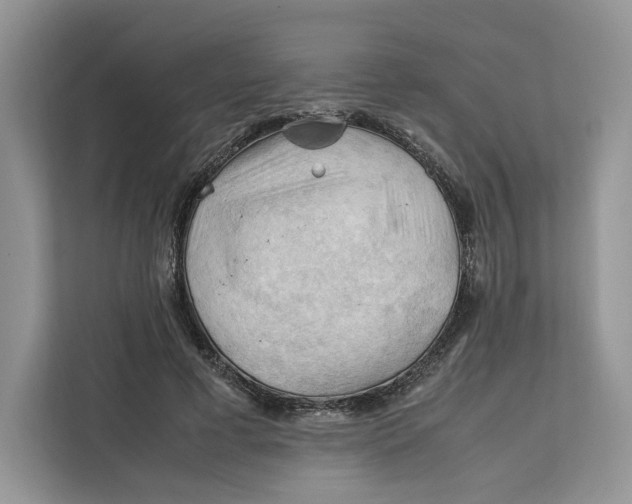 X0000112210593200908281501