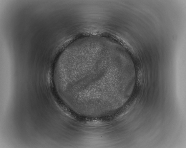 X0000112210594200908281501