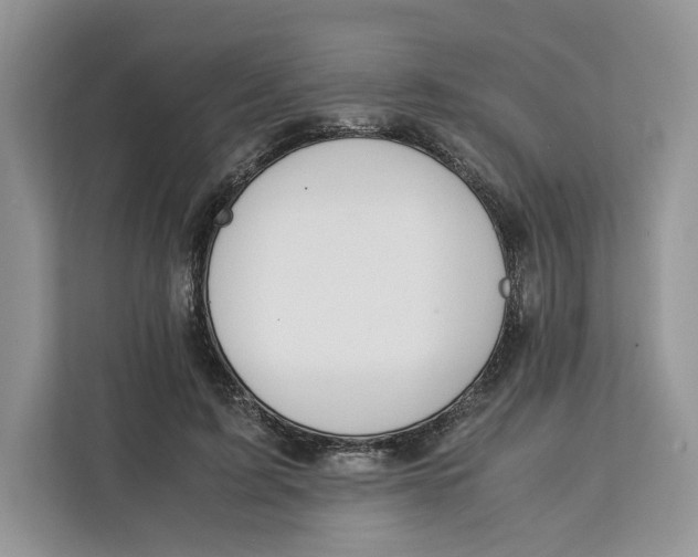 X0000112210595200908281501