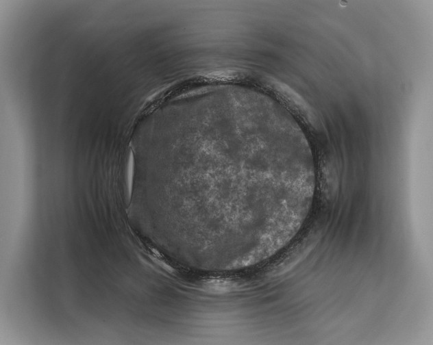 X0000112210596200908281501