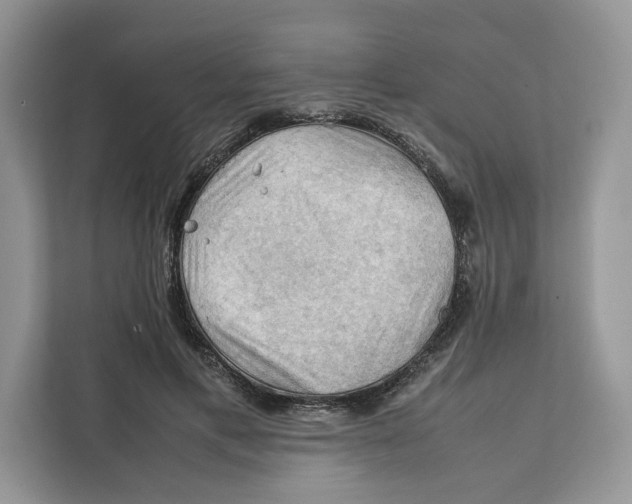 X0000112210597200908281501