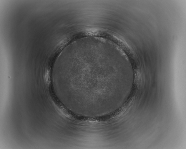 X0000112210598200908281501