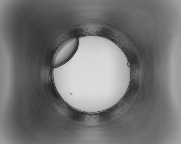 X0000112210599200908281501